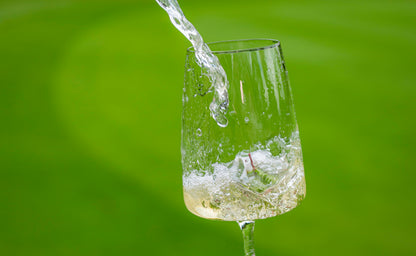 VALENVINO GRAUBURGUNDER - VALENVINO